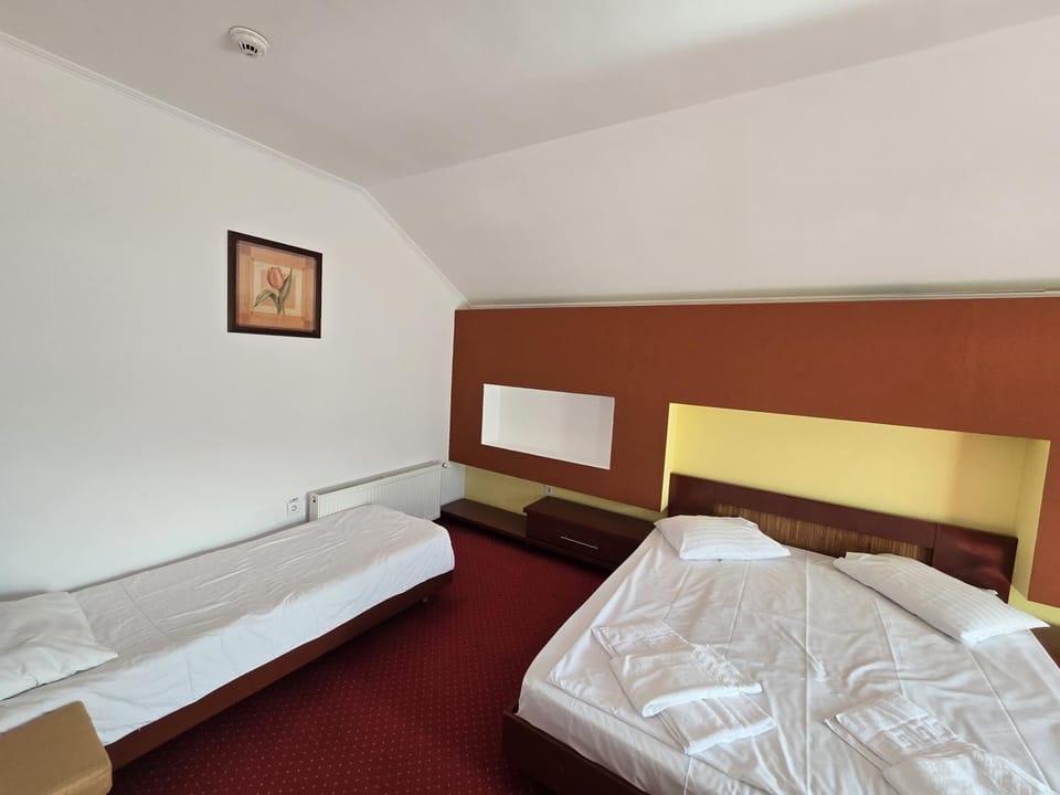 Casa Maria Azuga by Genco Bed and Breakfast in Prahova, Romania