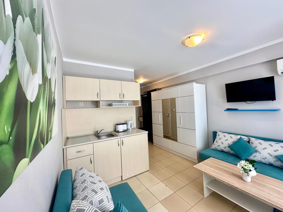 TV and multimedia, Kitchen or kitchenette, Photo of the whole room, oven