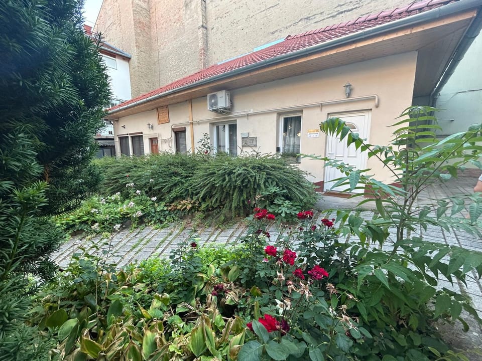 Property building, Spring, Day, Garden, Garden, Garden view