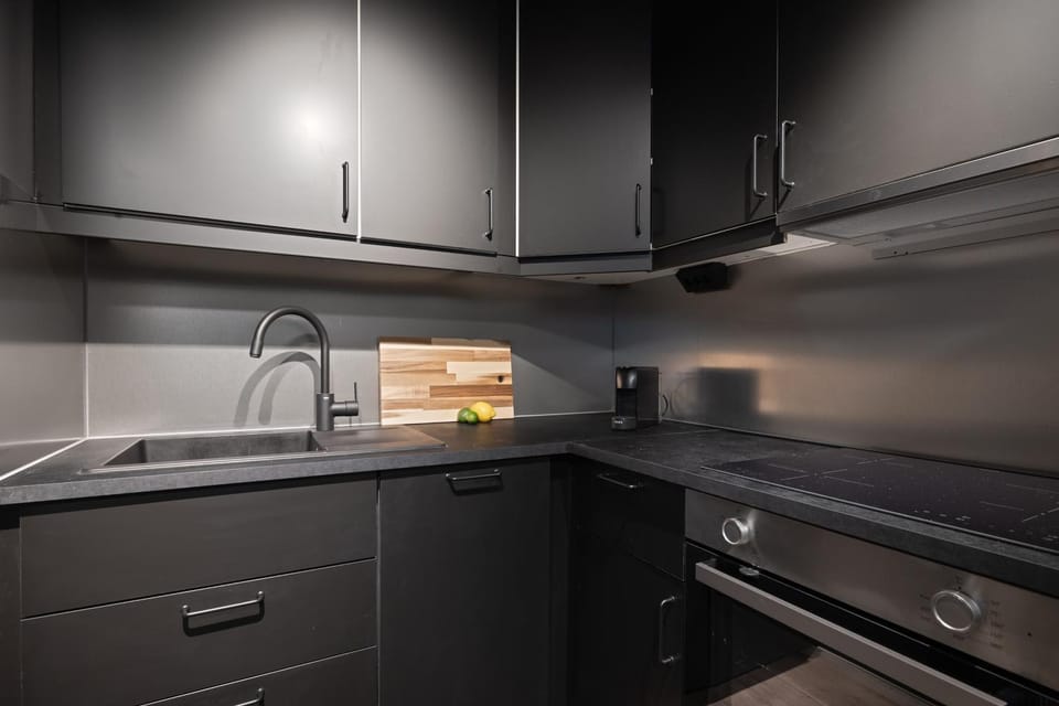 Kitchen or kitchenette, dishwasher, stove
