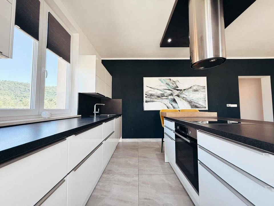 Kitchen or kitchenette, dishwasher, oven, stove