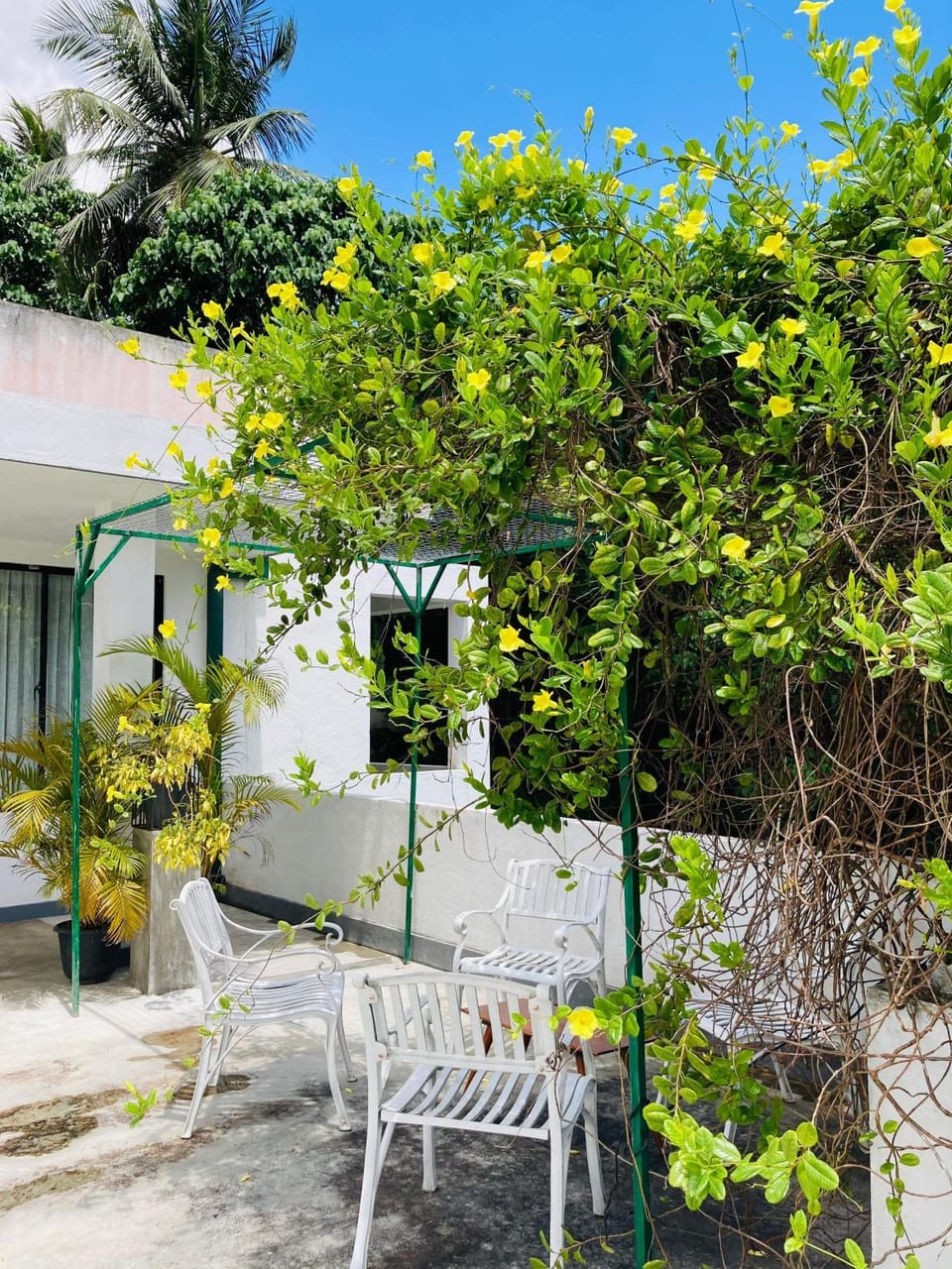 Garden view