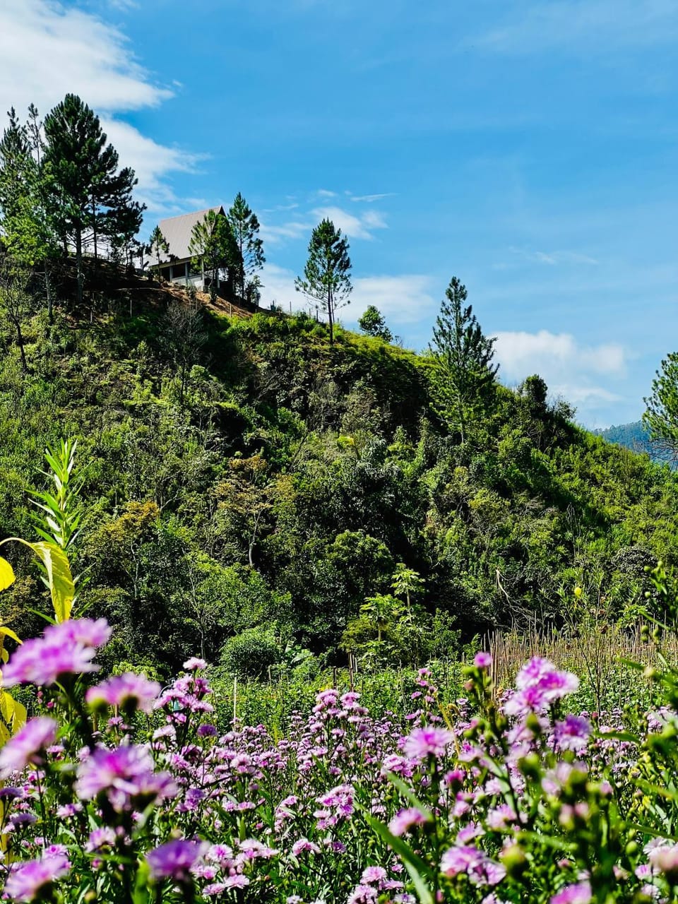 Spring, Day, Natural landscape, Mountain view