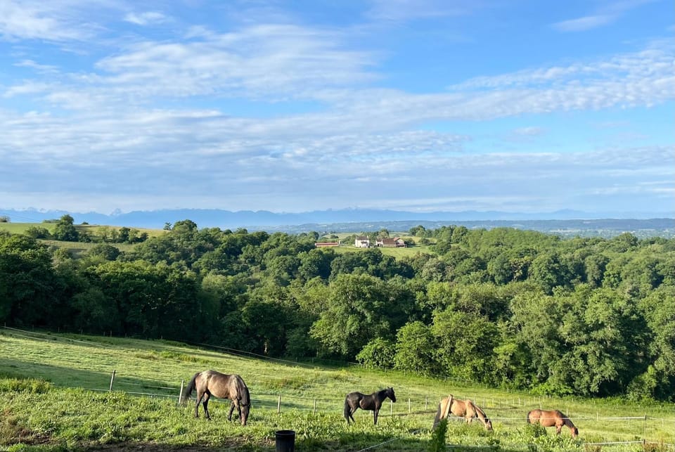 Natural landscape, Animals, Mountain view