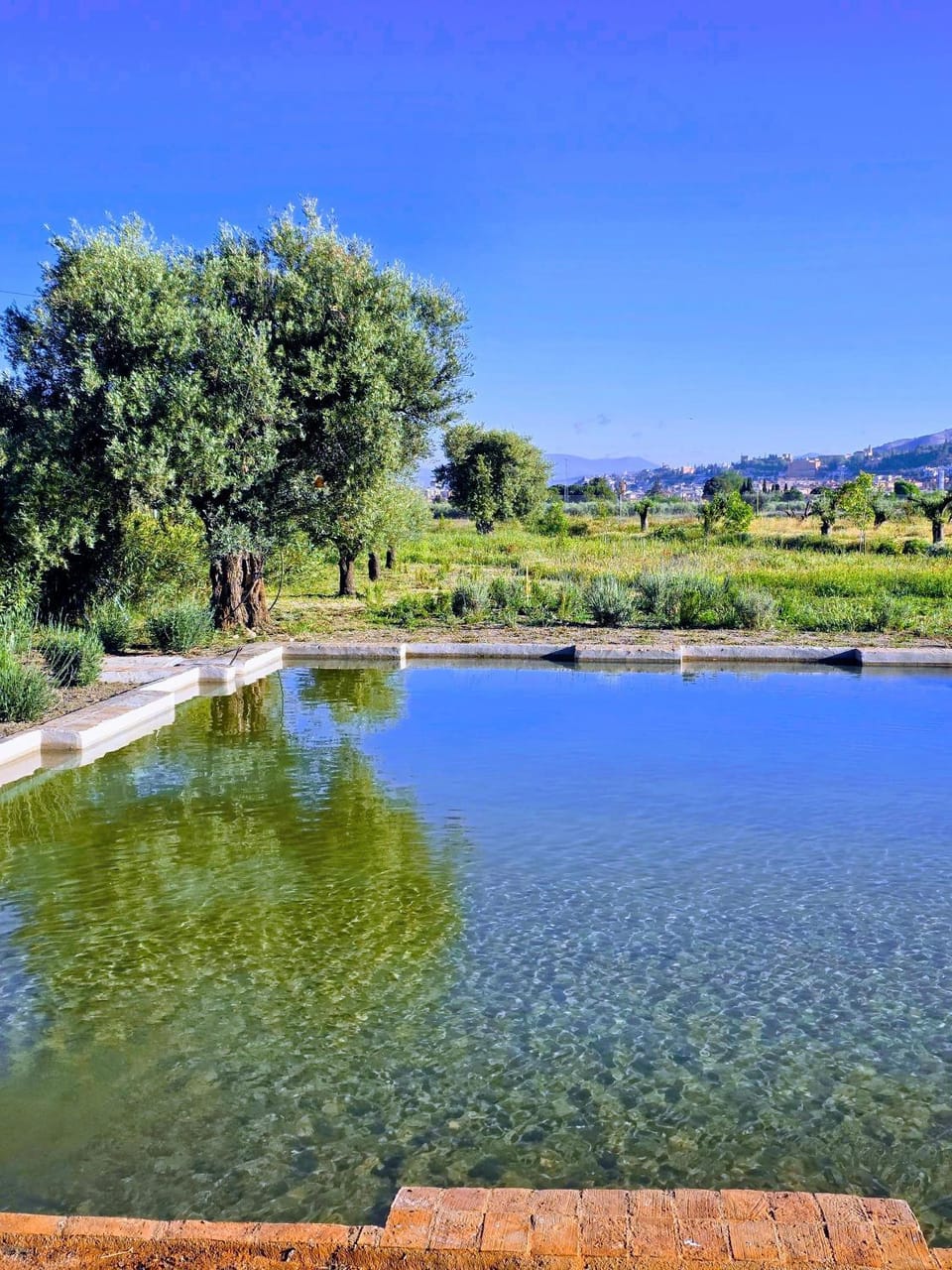 Off site, Garden