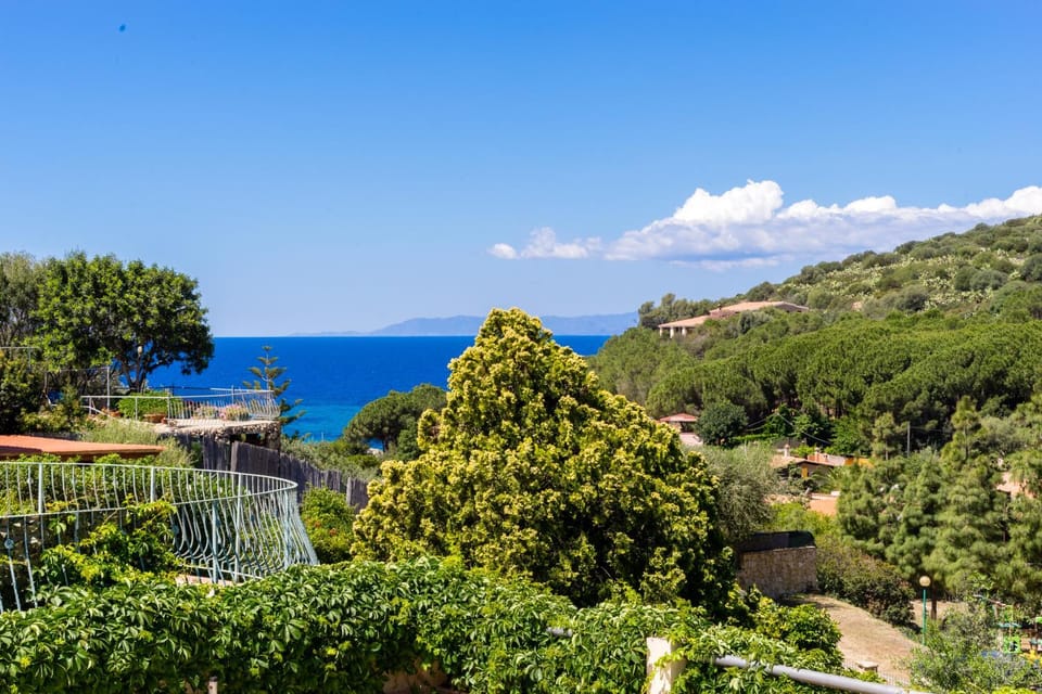 Natural landscape, Mountain view, Sea view