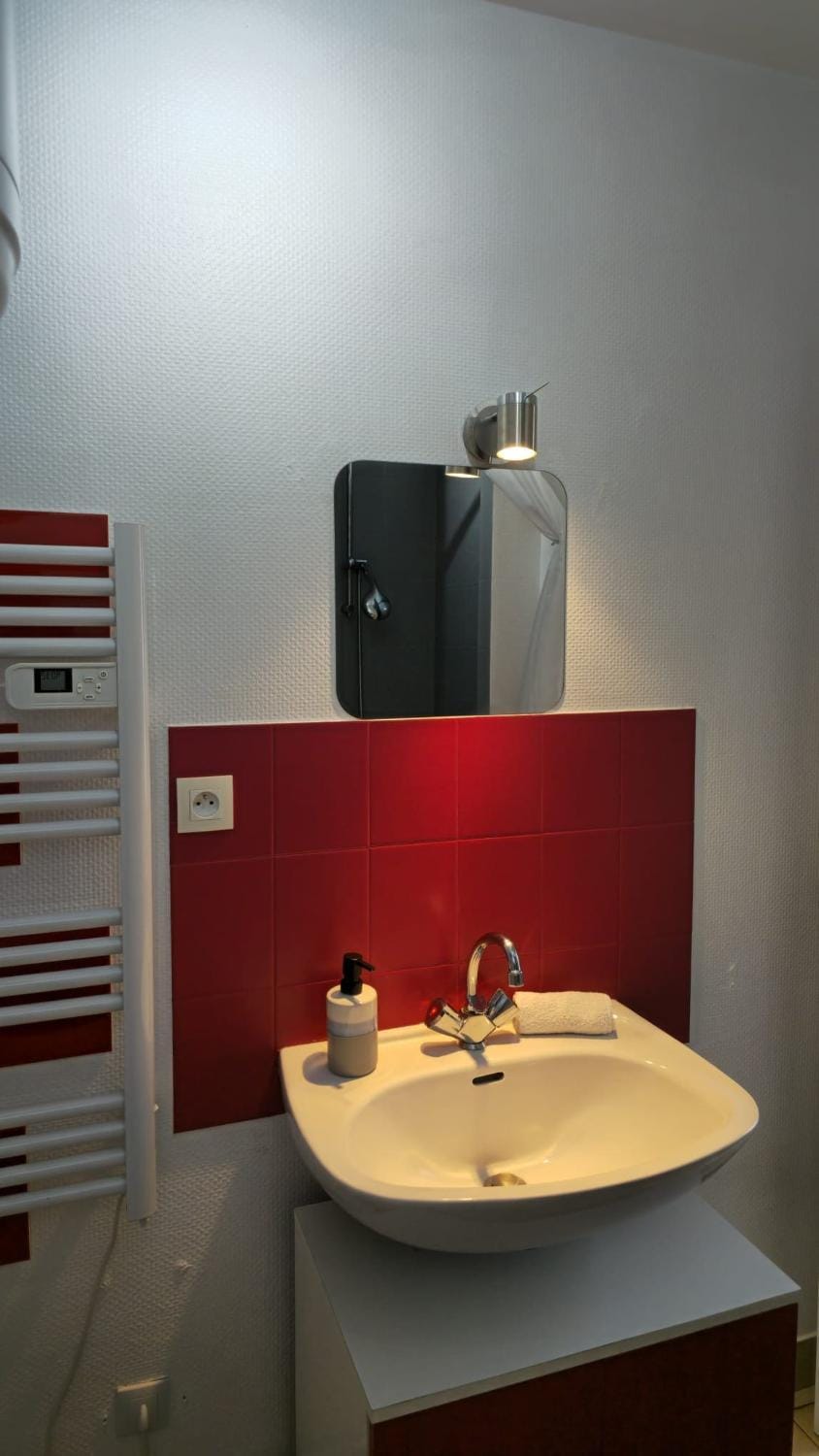 Perle des Bords de Loire Apartment in Blois