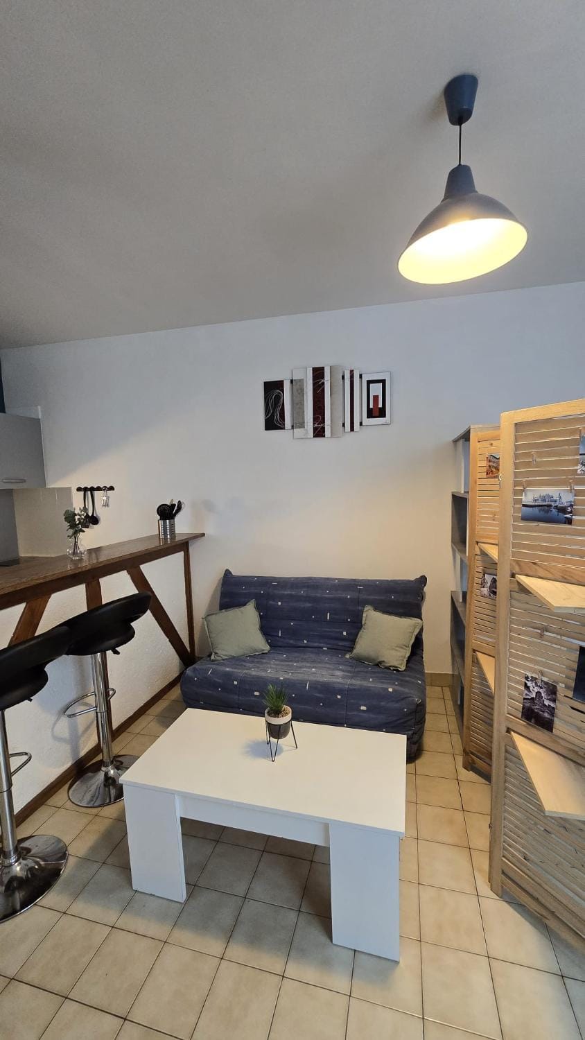 Perle des Bords de Loire Apartment in Blois