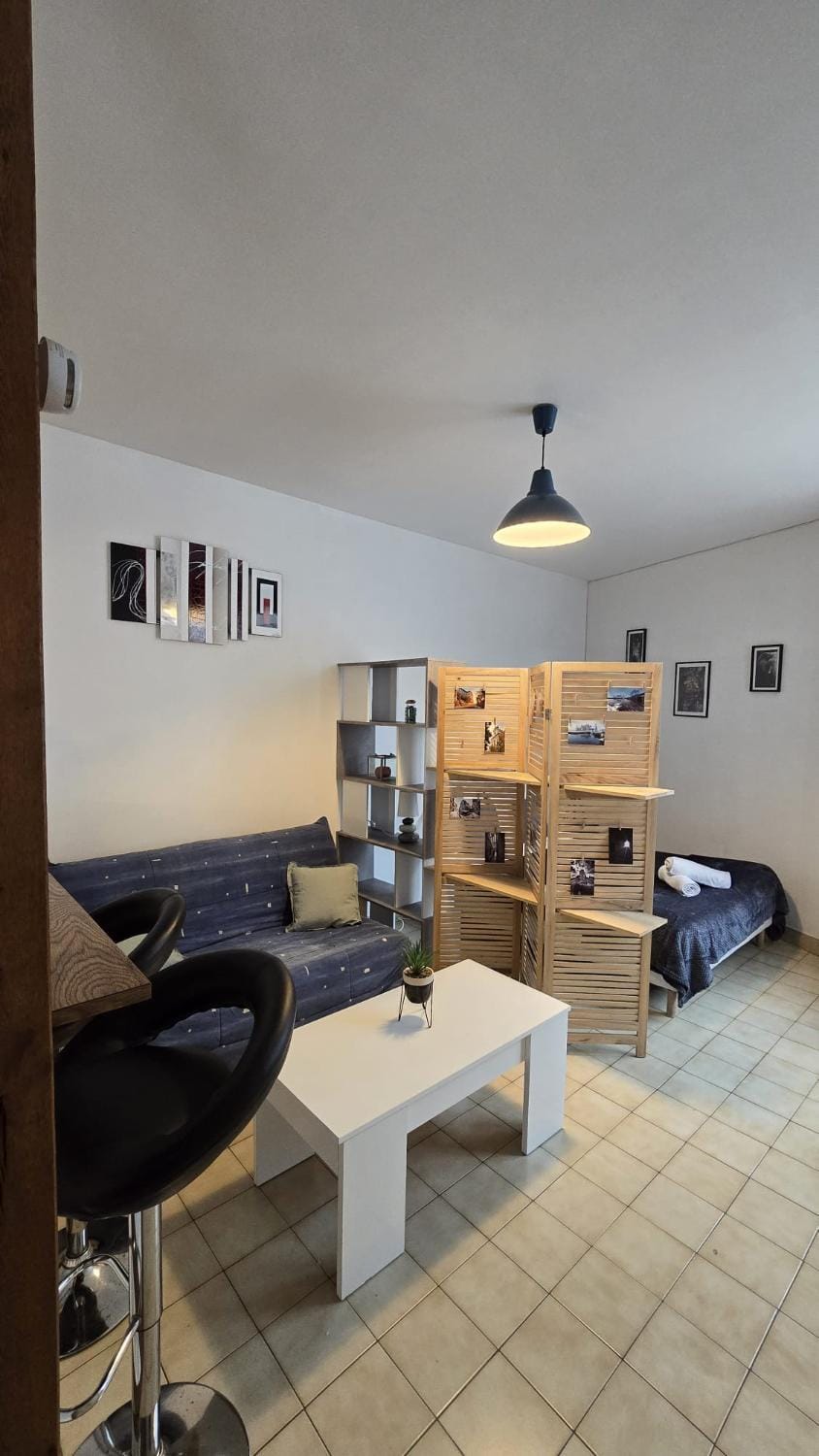 Perle des Bords de Loire Apartment in Blois
