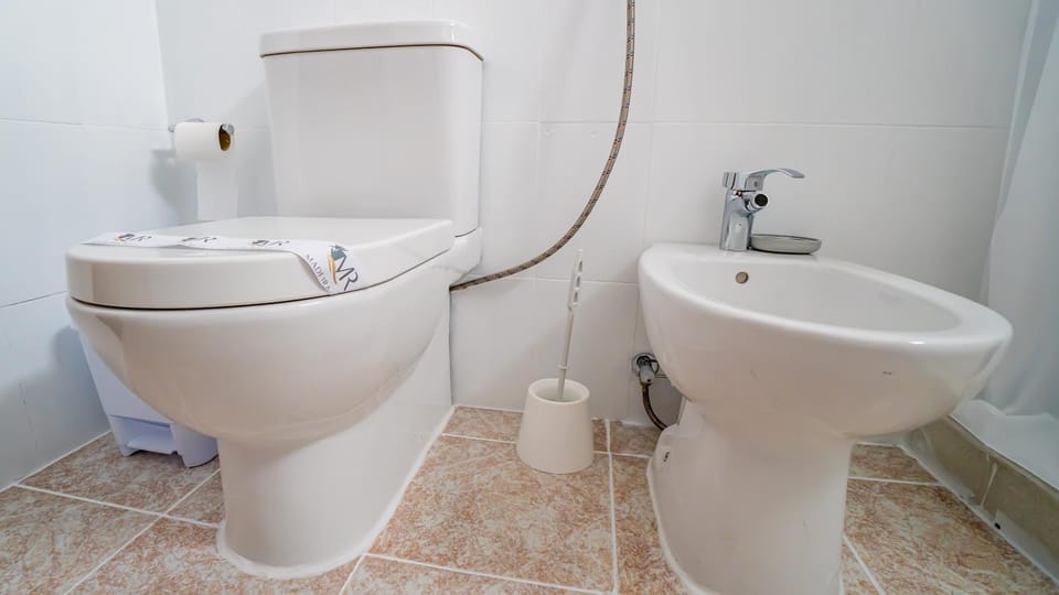 Shower, Toilet, Bathroom, bidet