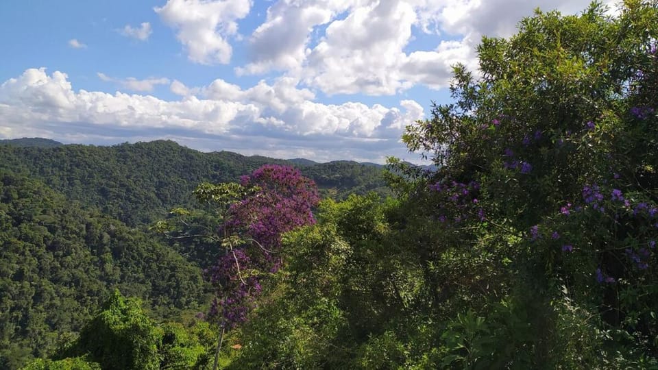 Aconchego da Montanha - chalé Chalet in State of Espírito Santo, Brazil