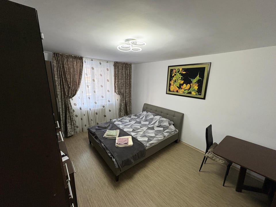 Anto Apartment Apartment in Romania