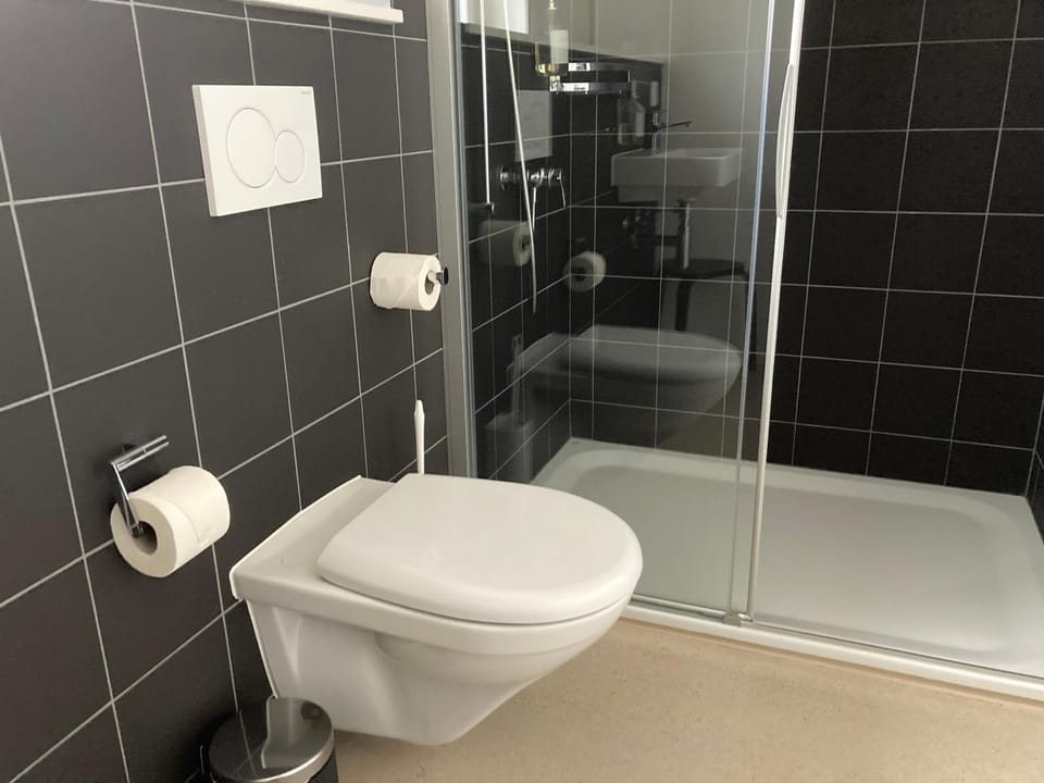 Shower, Toilet
