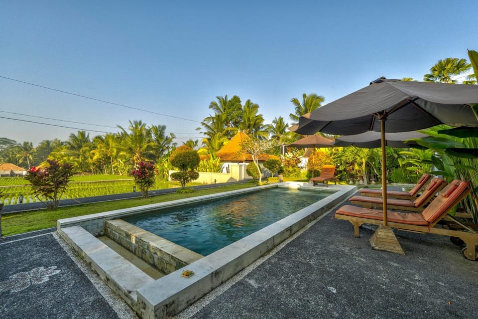 View (from property/room), Swimming pool