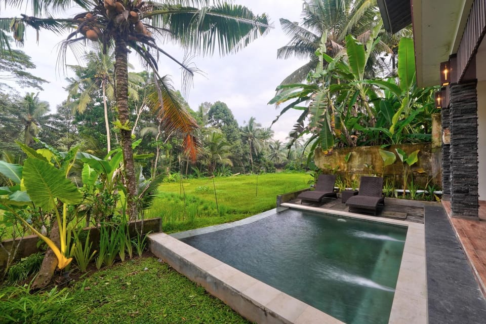 Natural landscape, Pool view, Swimming pool