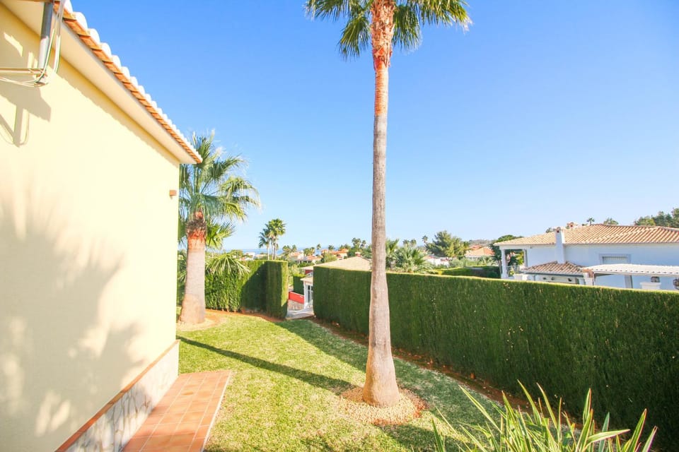 Patio, Garden, Garden view