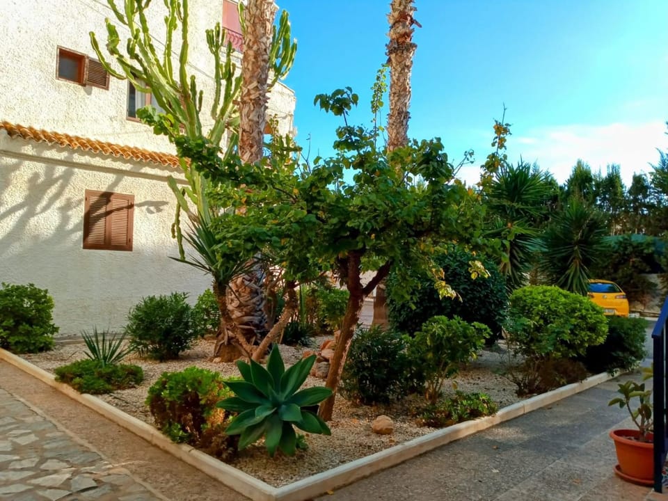 Flamenca sun with pool Apartment in Vega Baja del Segura