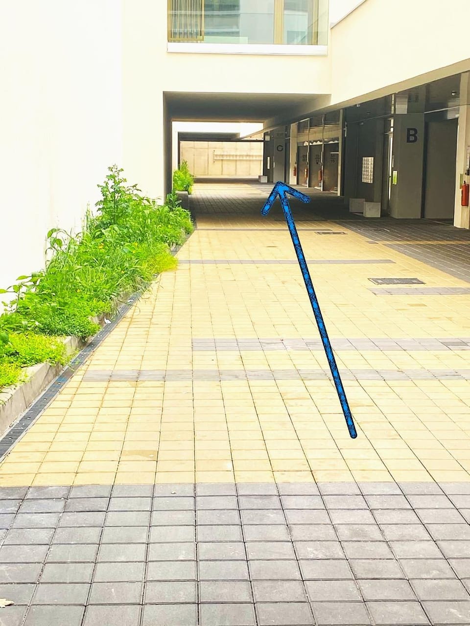 Facade/entrance