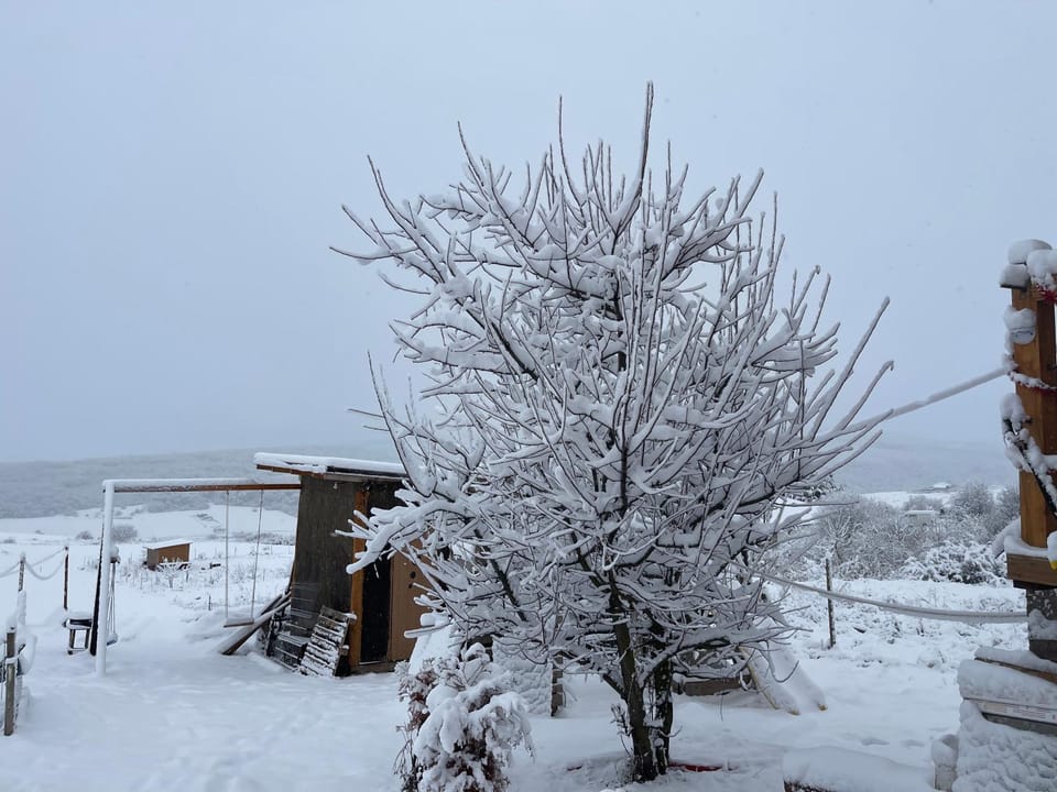 Cabana Popesti Campground/ 
RV Resort in Cluj-Napoca
