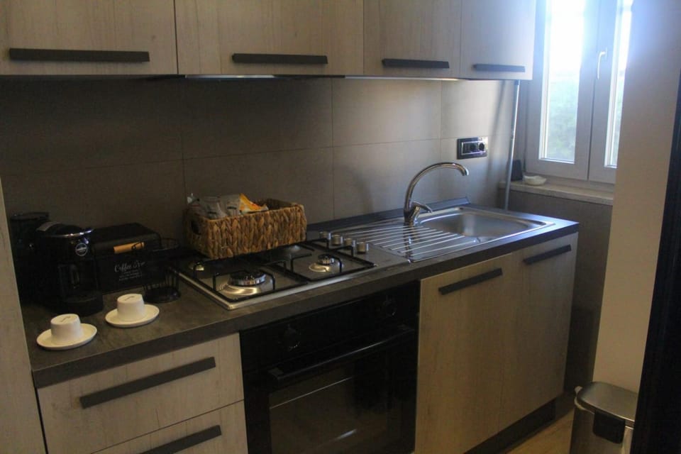 Kitchen or kitchenette, minibar, stove