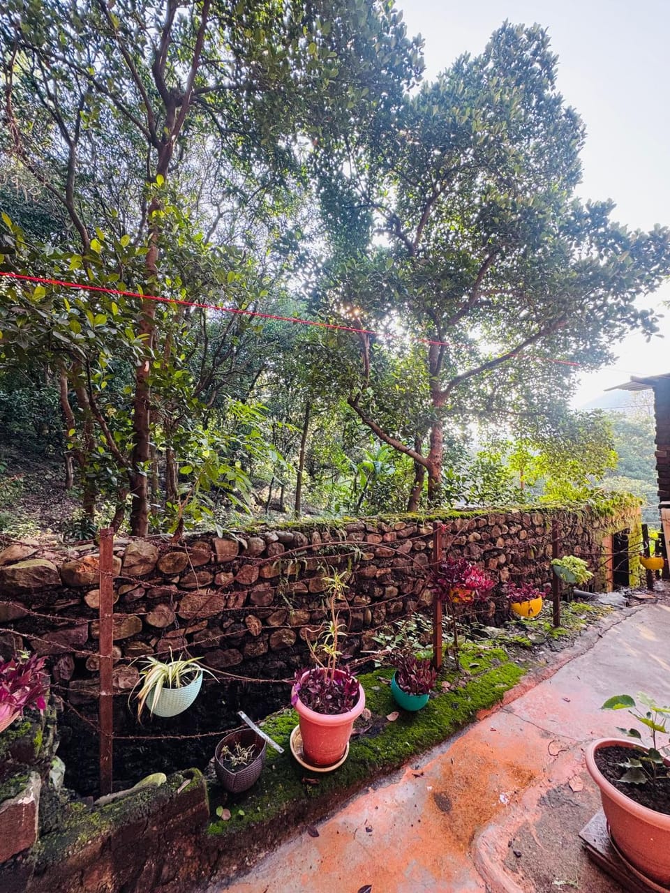Day, Garden view