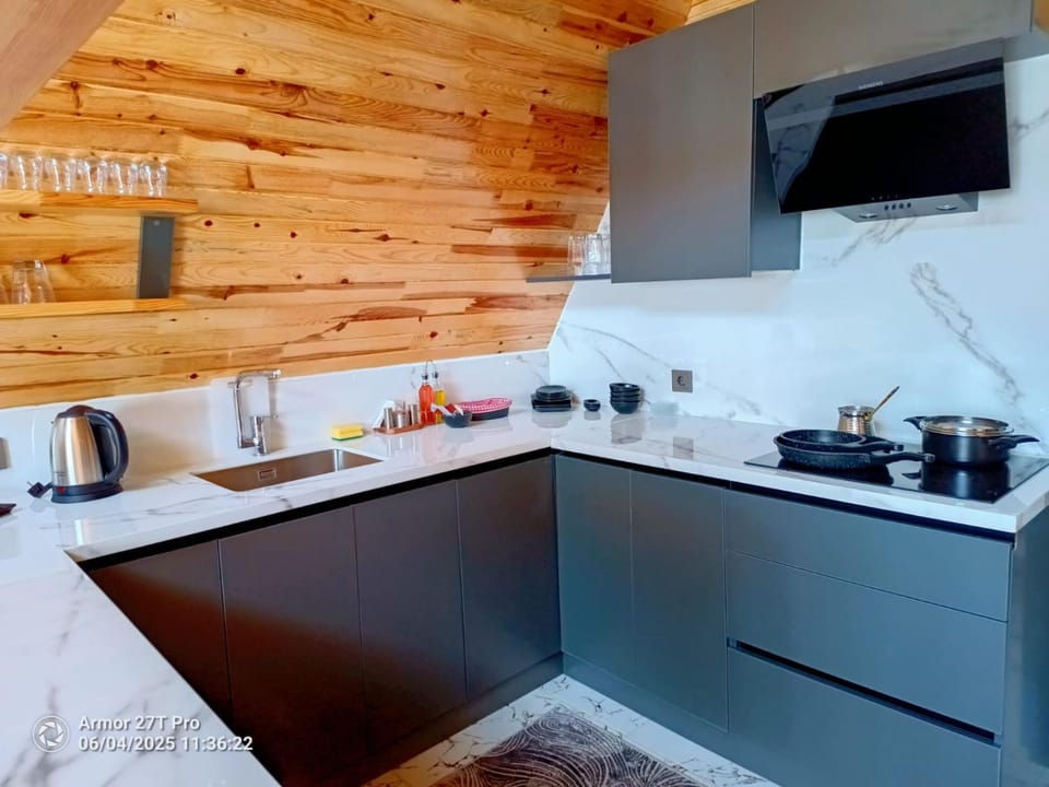 Coffee/tea facilities, Kitchen or kitchenette, stove