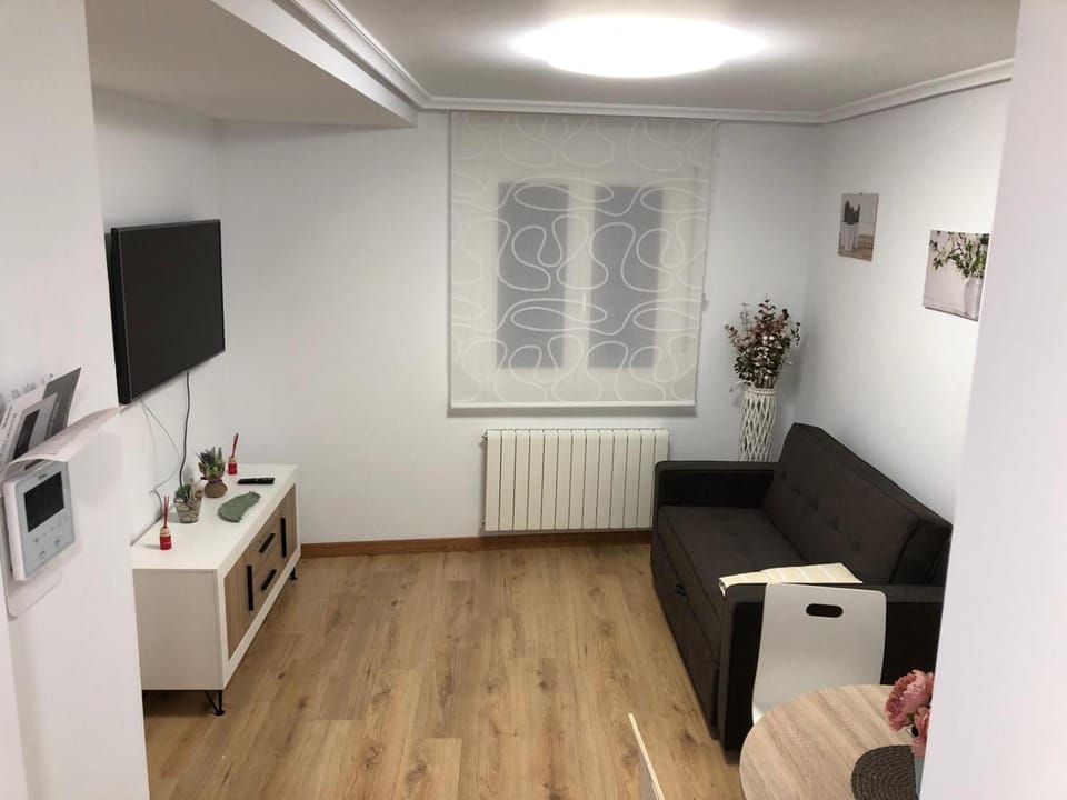 El apartamento de la catedral Apartment in Burgos