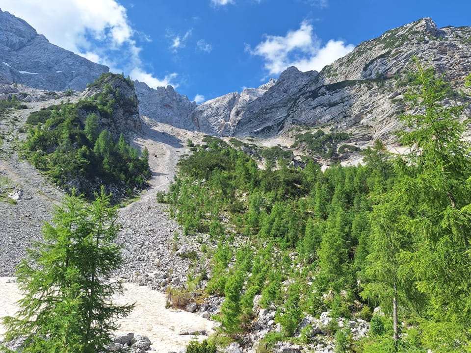 Luna's Mountain House - Jezersko Apartment in Carinthia, Austria