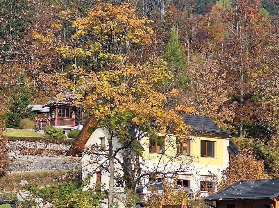 Property building, Natural landscape, Autumn