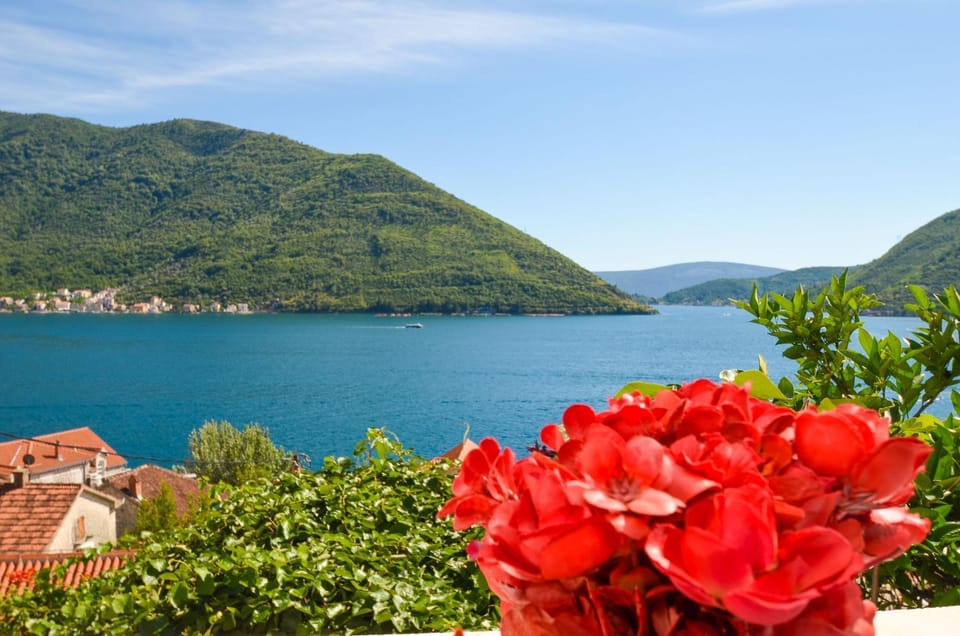 Old stone seaview house Villa in Kotor Municipality