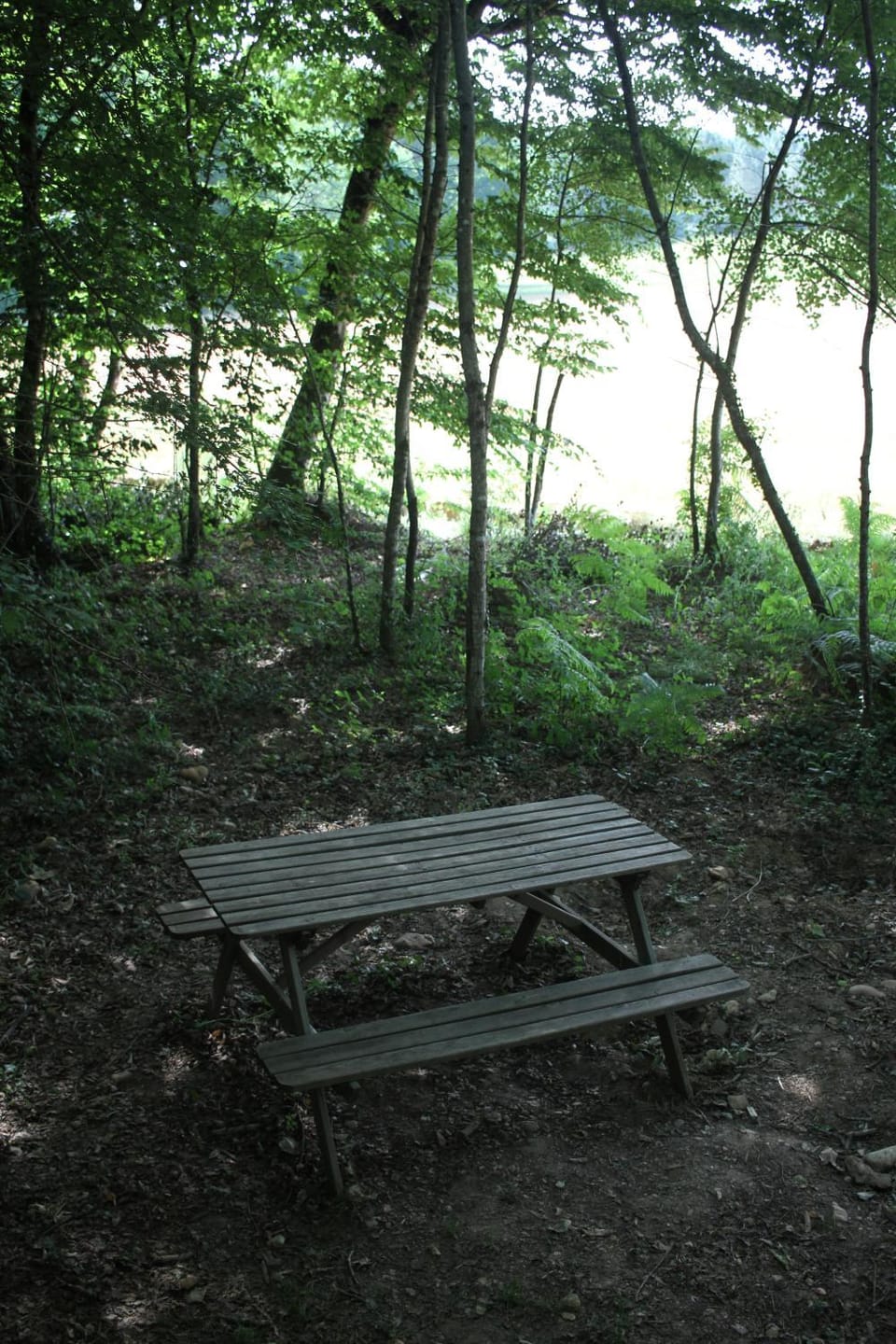 Dining area, Garden view