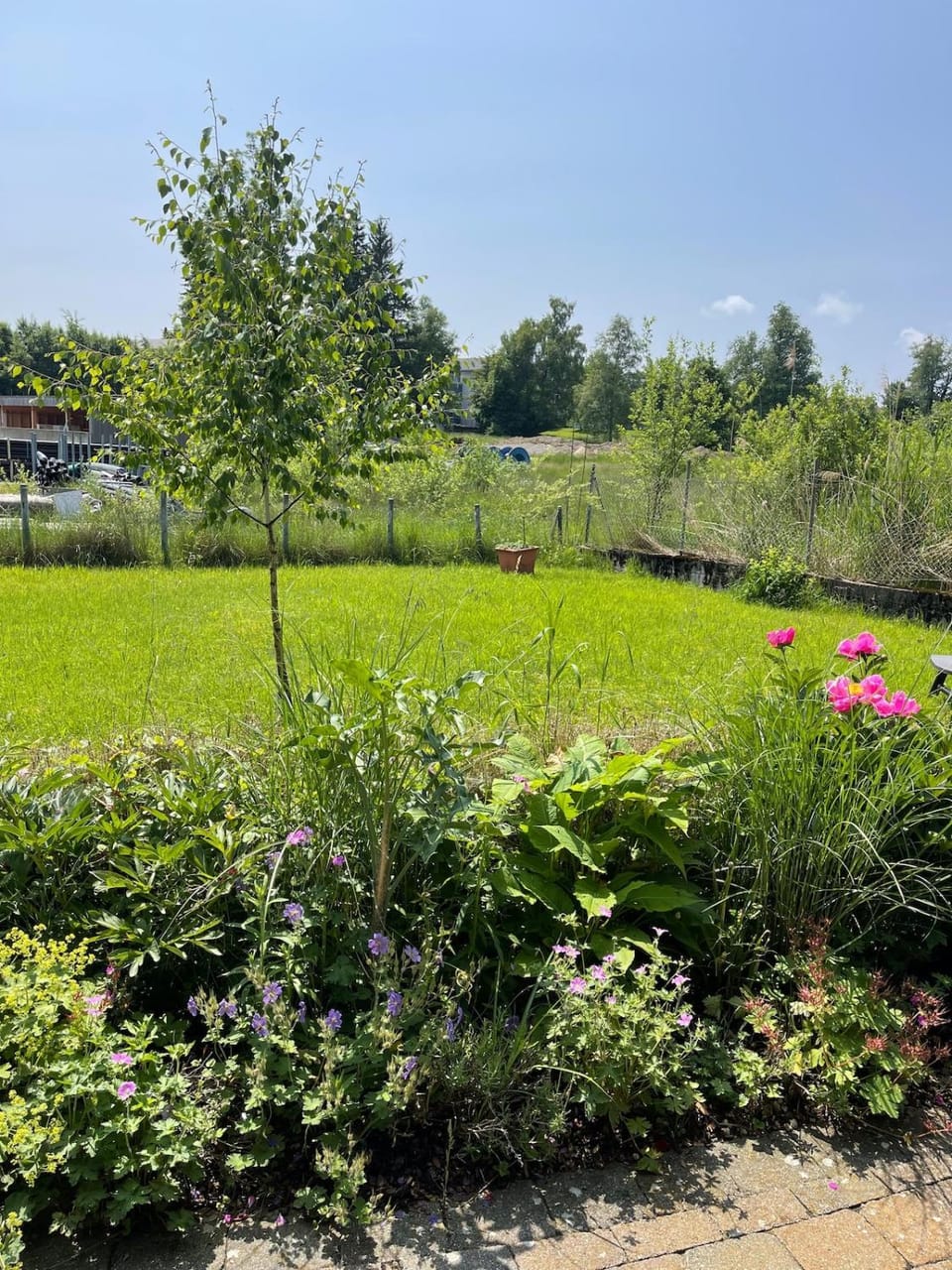 Natural landscape, Garden, Garden view