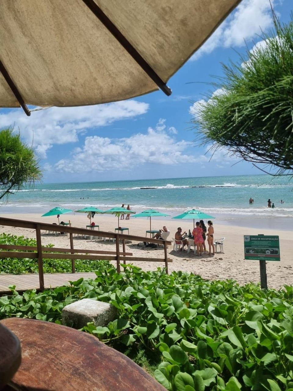 Marinas Prédio Beira Mar na Praia de Carneiros Apartment in Tamandaré