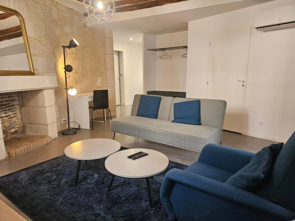 Charme Place Chateauneuf - Coeur de Tours Apartment in Tours