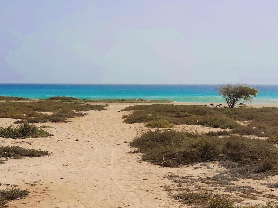 Beach