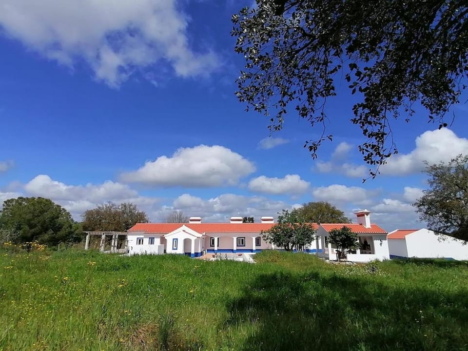 Property building, Spring, Day, Natural landscape, Garden view