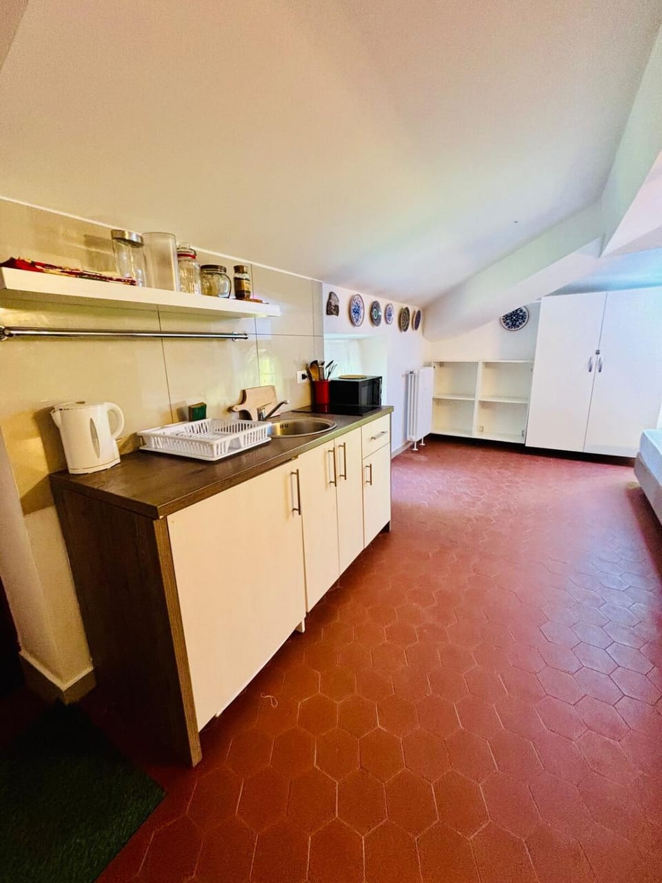 Amazing Attic at the Como Lake Apartment in Como