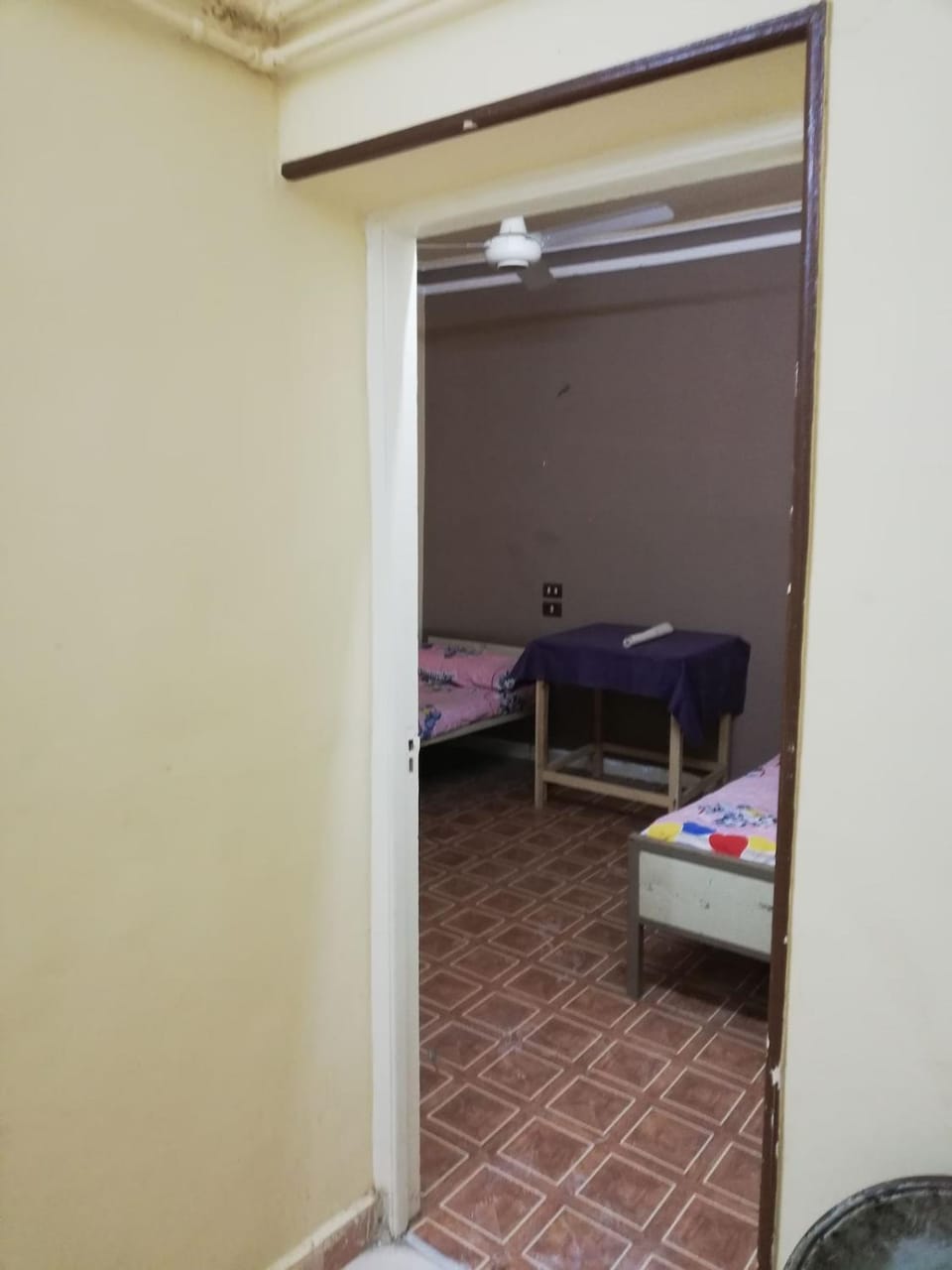 Nasser Apartment in Red Sea Governorate