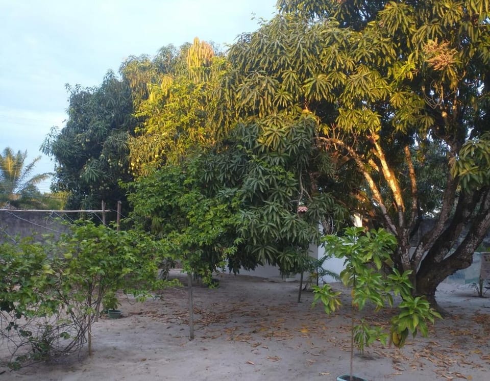 Off site