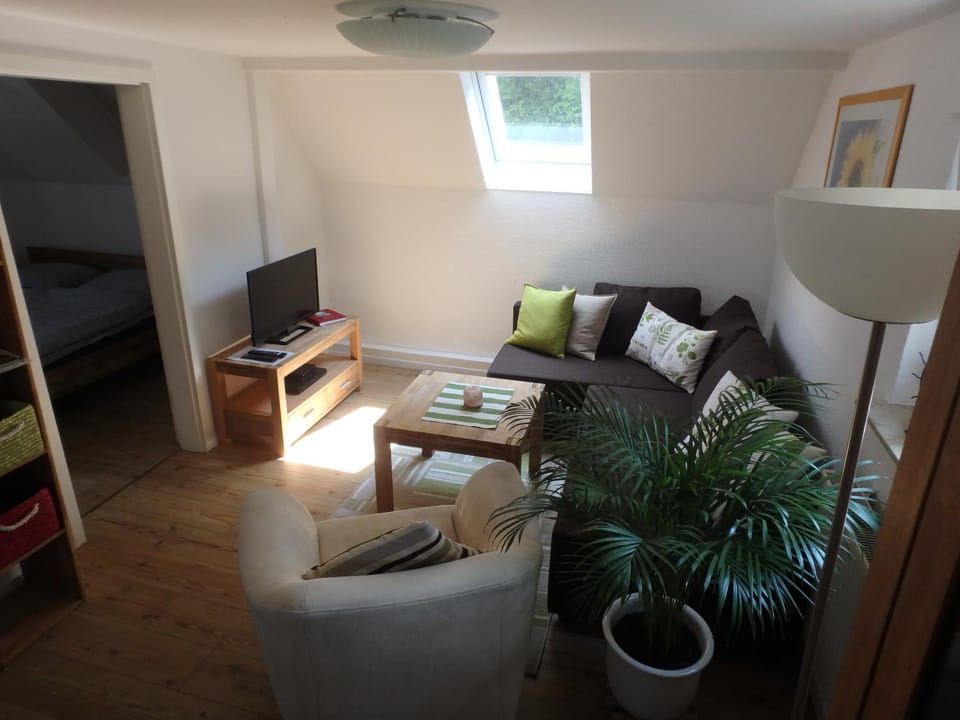 TV and multimedia, Living room, Photo of the whole room, Decorative detail, Seating area