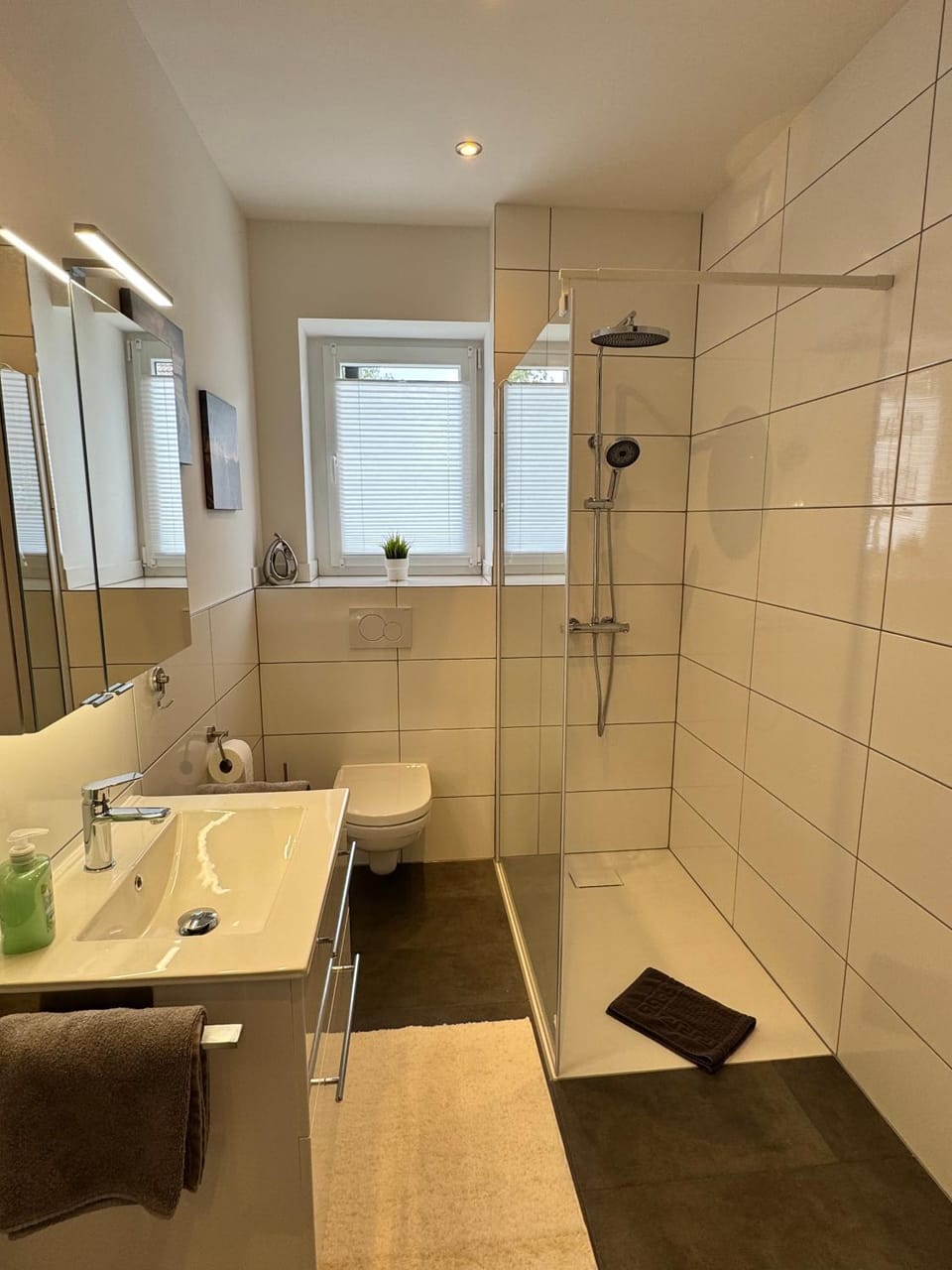 Shower, Bathroom, towels