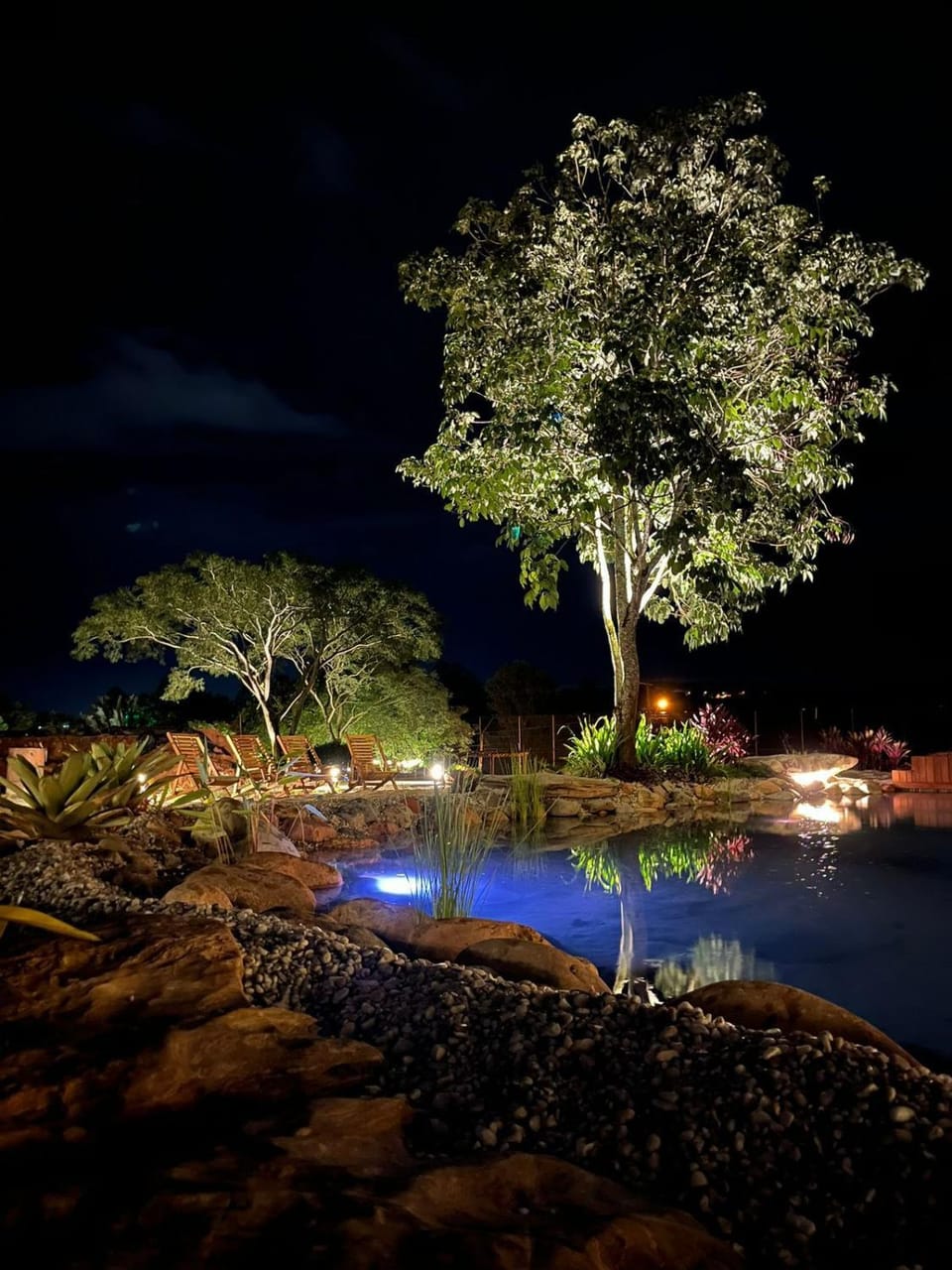 Lake view