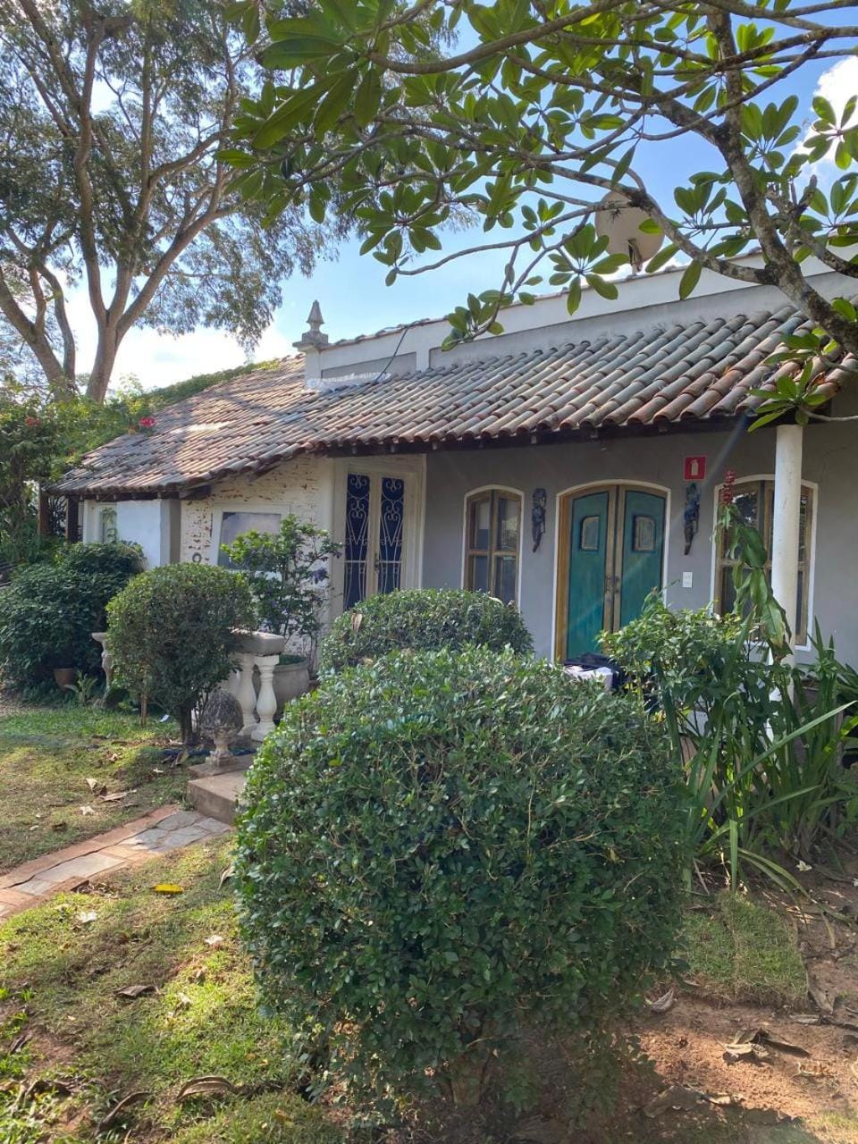 Garden view