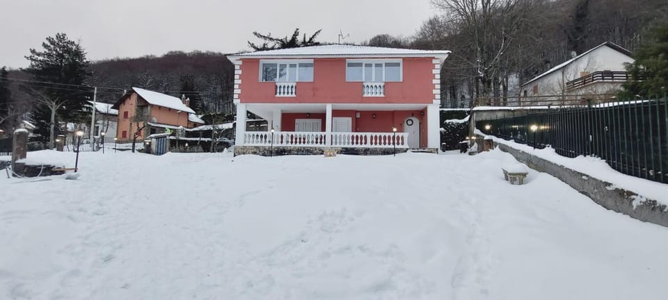 Winter
