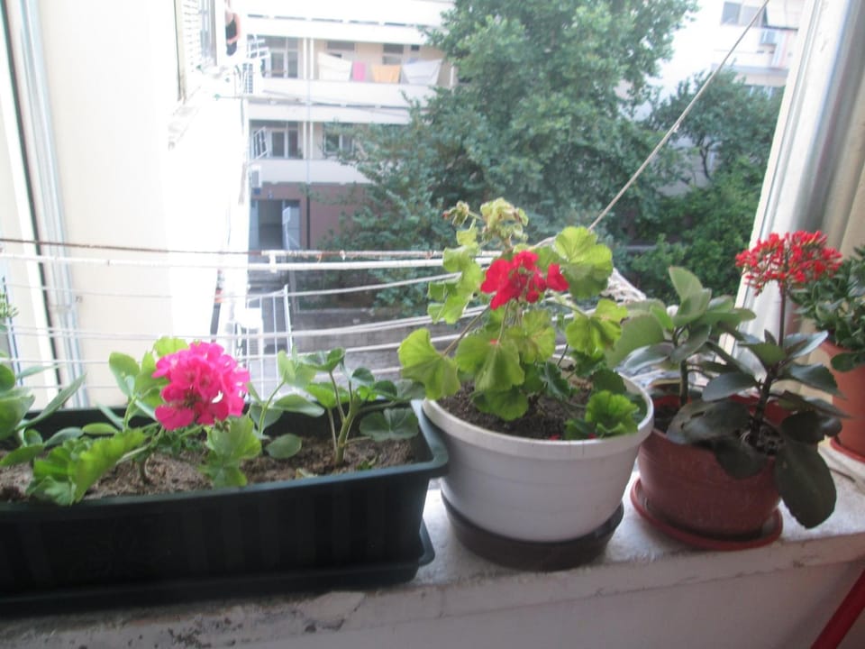 Garden, Balcony/Terrace, Balcony/Terrace
