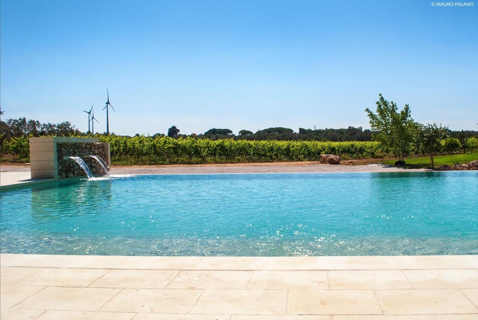 Pool view, Swimming pool