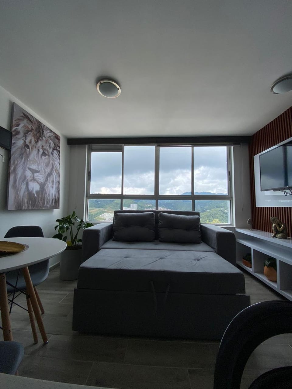 Communal lounge/ TV room, Bed, Living room, Bedroom