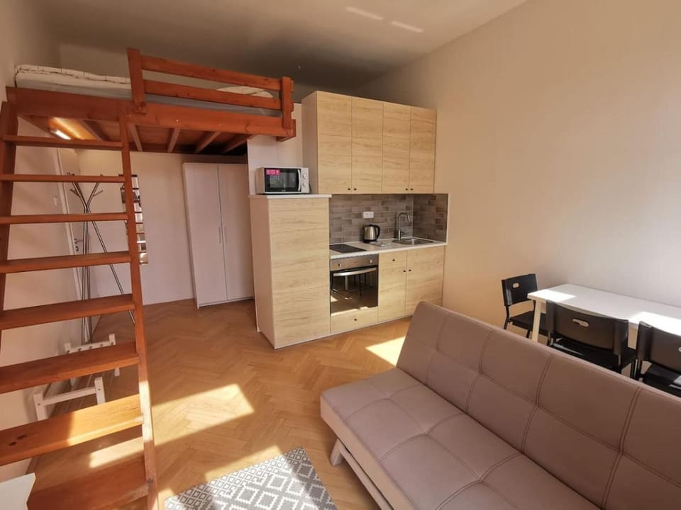 Cosy and simple well located studio Apartment in Prague