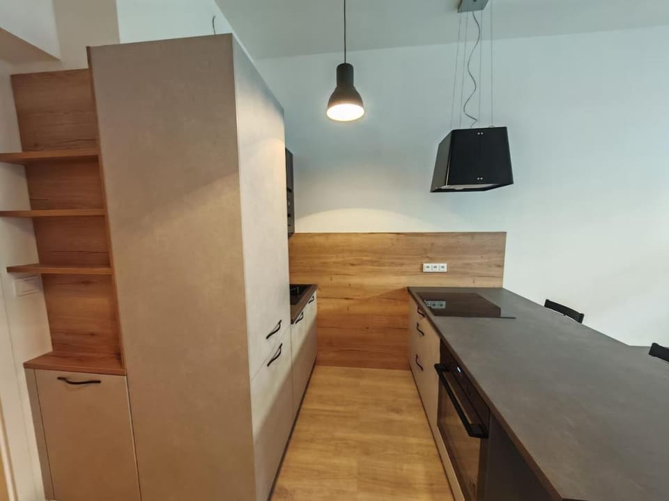 Quiet Studio in Hip Zizkov Apartment in Prague