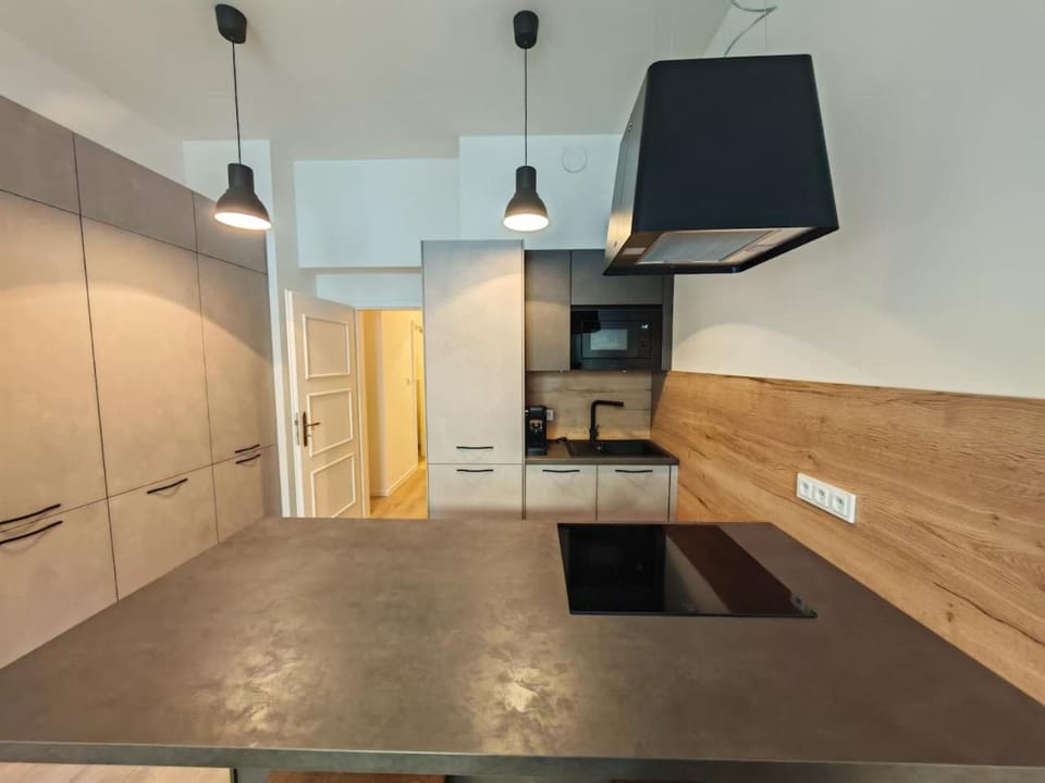 Quiet Studio in Hip Zizkov Apartment in Prague